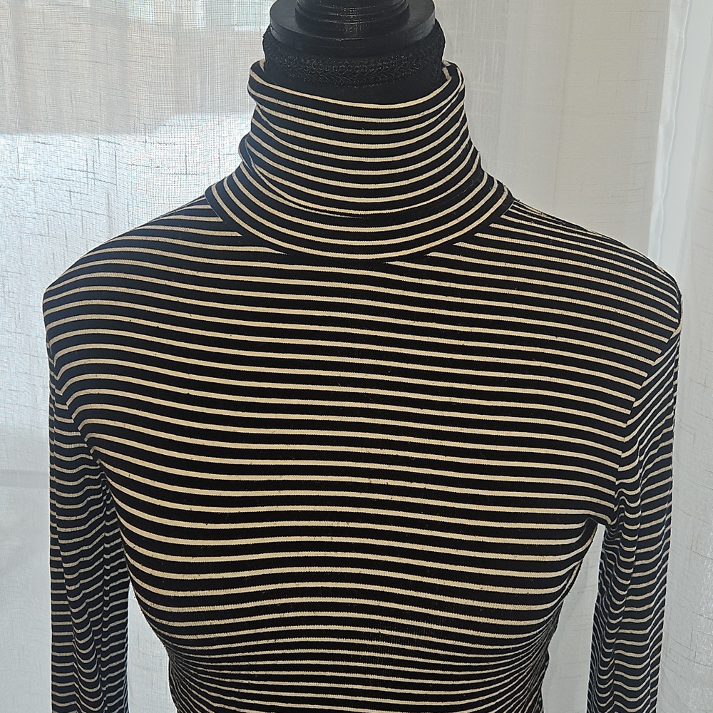Zara Black and White Striped Cropped Turtleneck